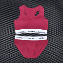 Комплект женского белья Calvin Klein арт 1039